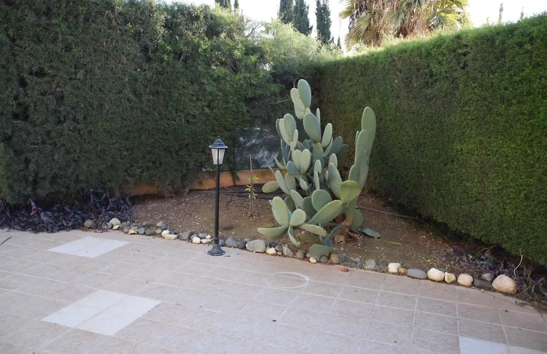 Raise Cosy Studio With Pool In Limassol-1