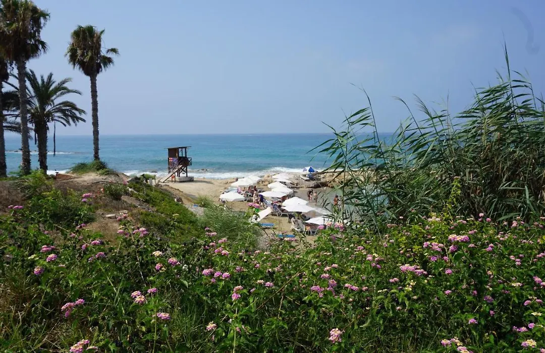 Limnaria Gardens Paphos, Near Beach-1