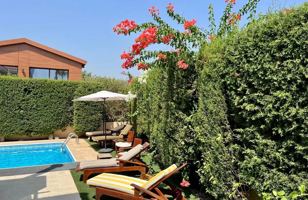 Amathus Luxury Boutique Villa-1