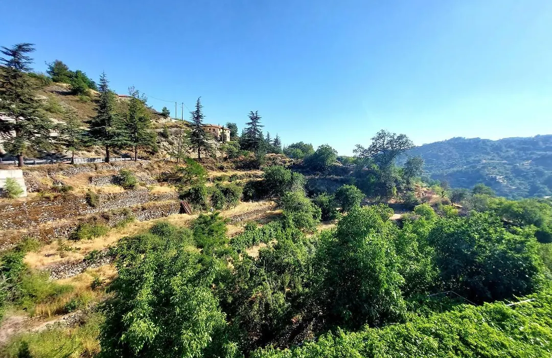 Agros Green Valley Suites-1