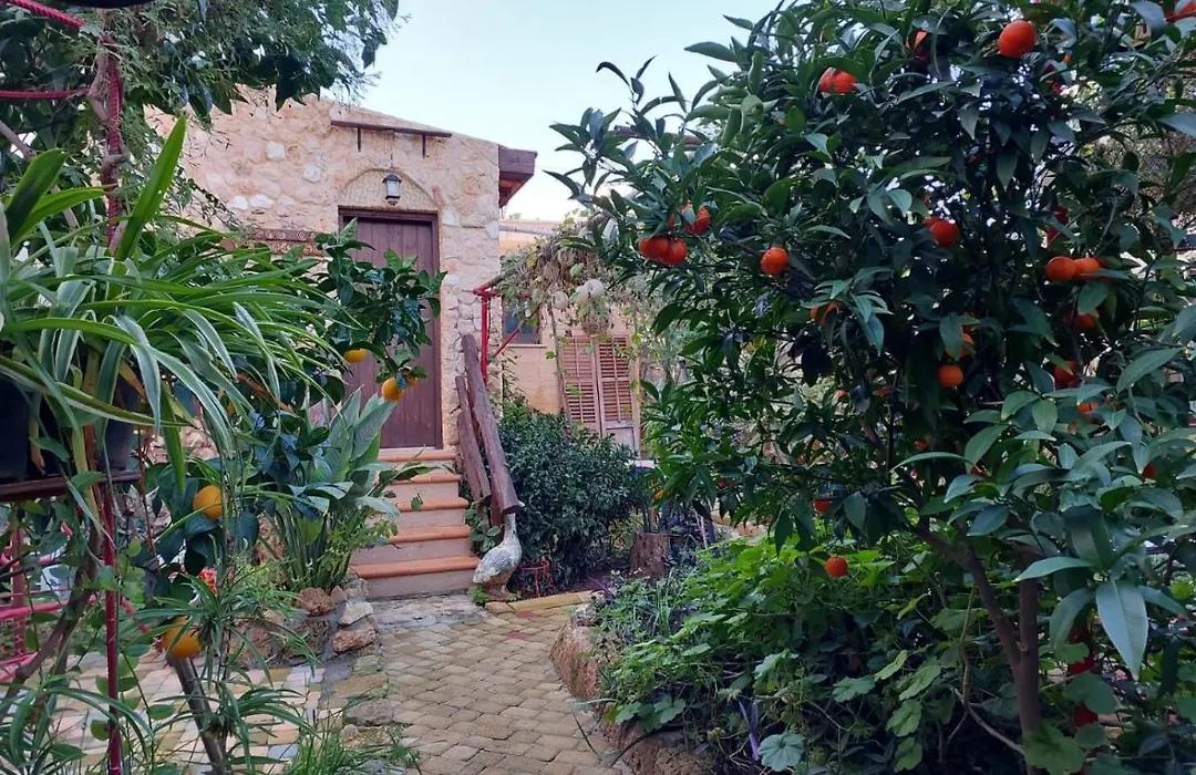 Mystery Garden Guest House-1