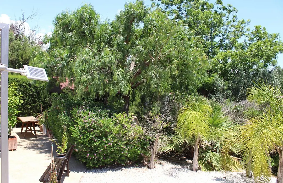 St.George'S Country Retreat-1