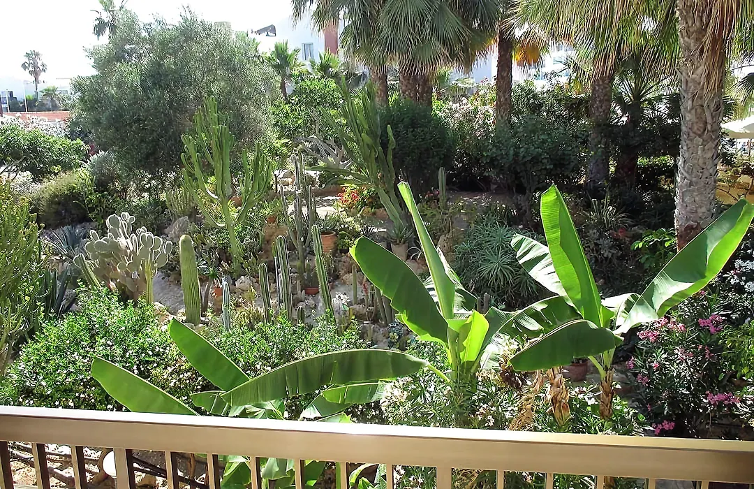 Rododafni Beach Apartments-1