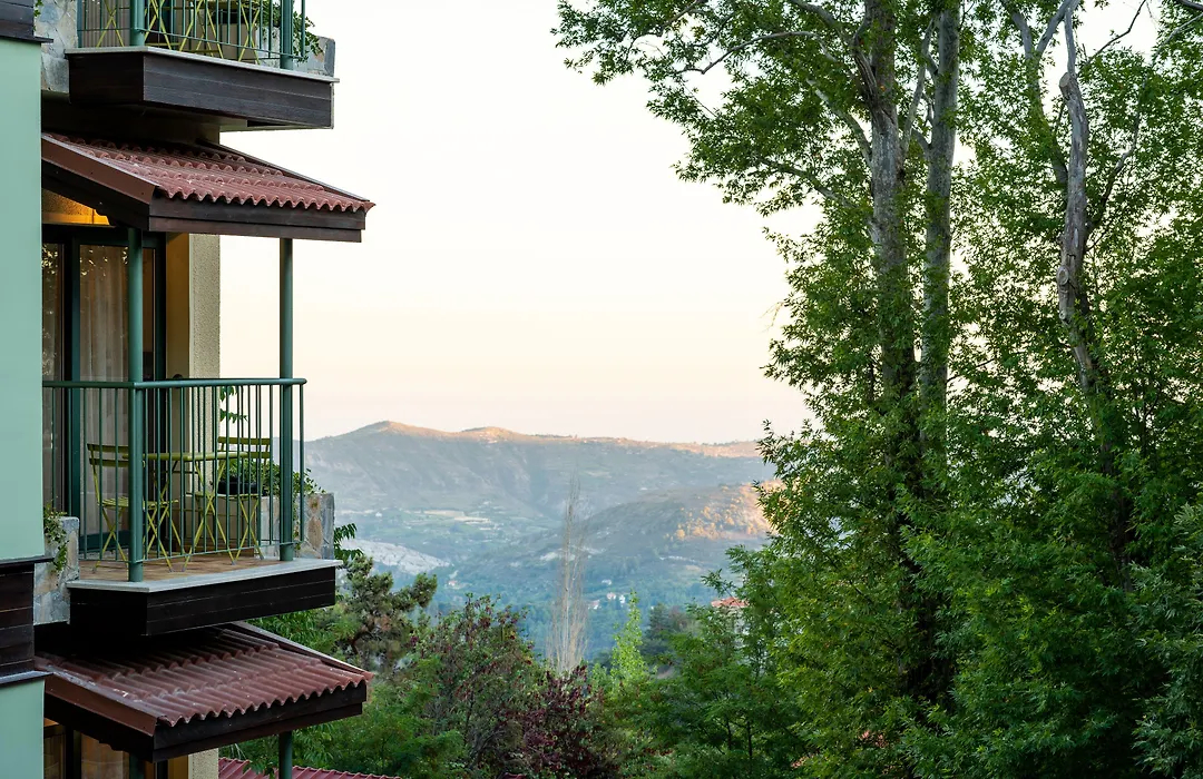 Petit Palais Platres Boutique Hotel-1