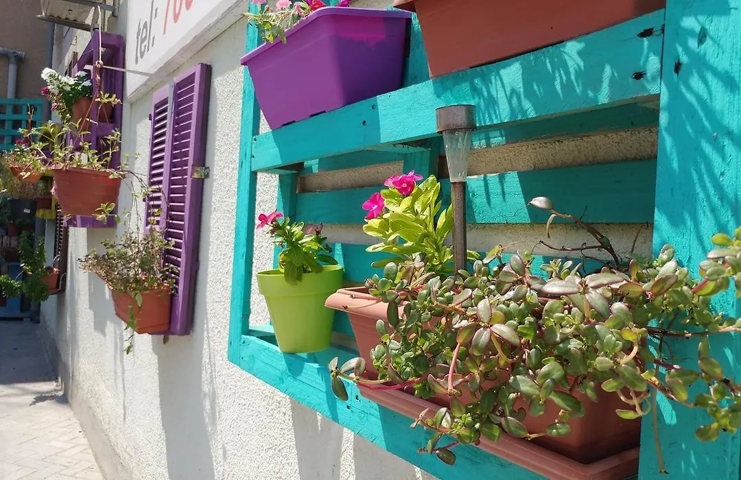 P. Ioannou Flats-1