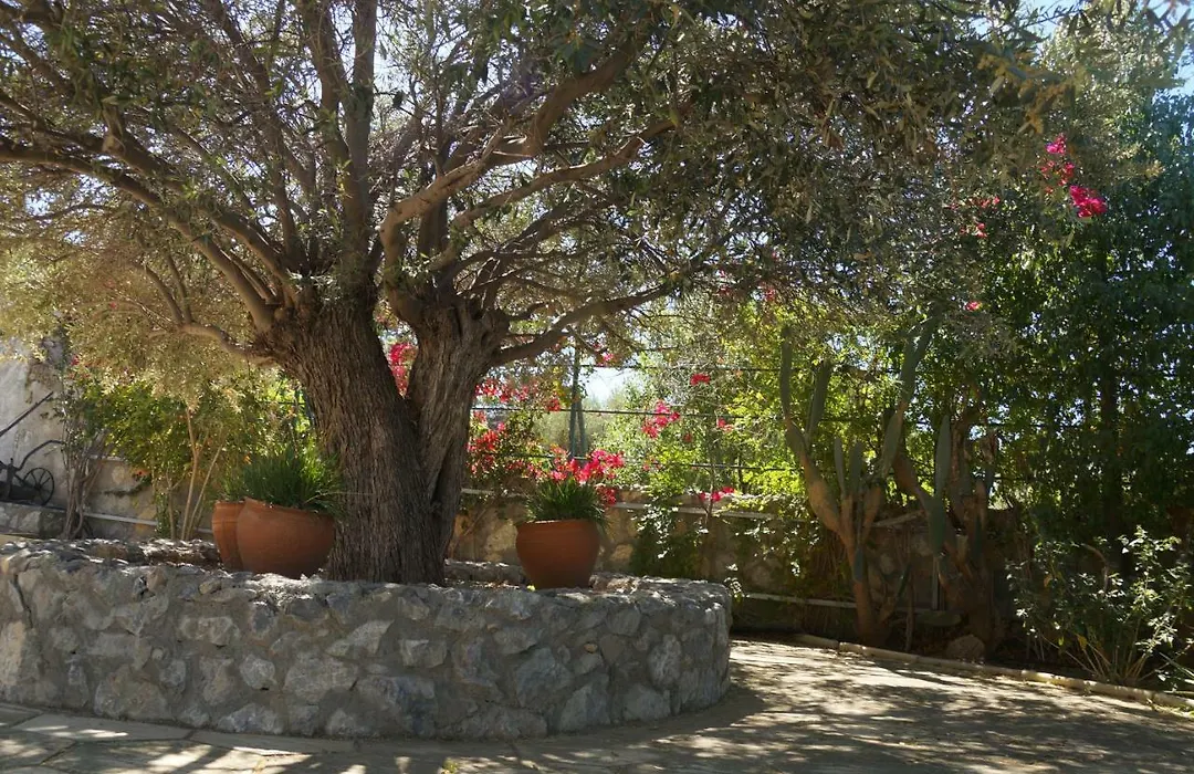 Villa Layla-1