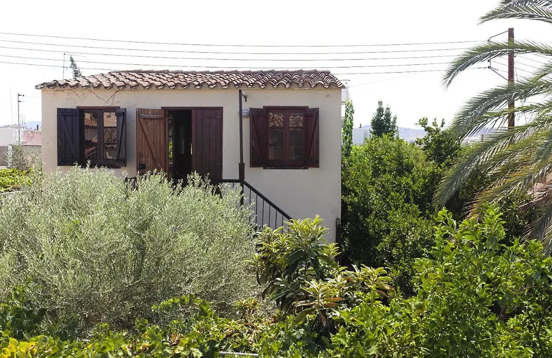 Avli-The Courtyard-1