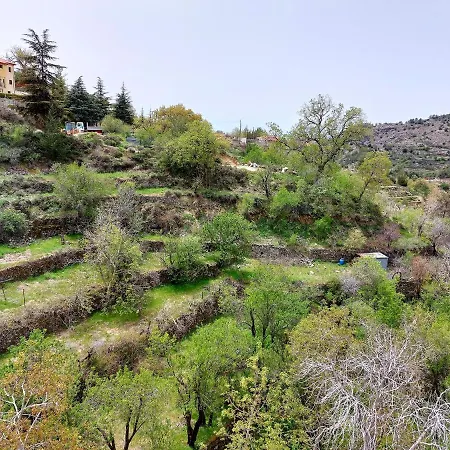 Agros Green Valley Suites-3
