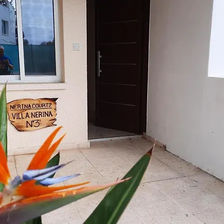 Villa Nerina Kato Paphos-2