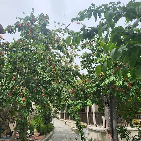Kallithea Inn-3