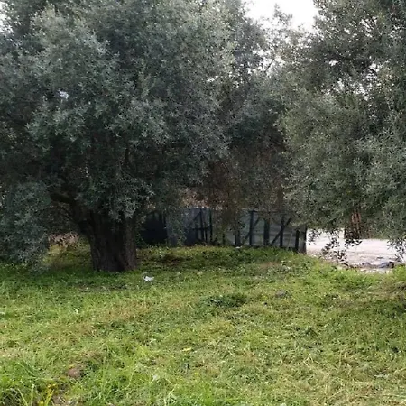 Suluca Homes-3