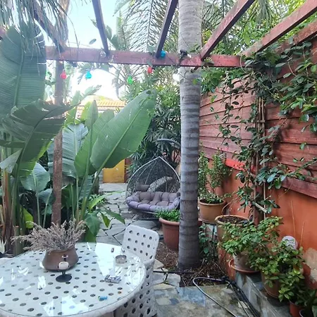 Petro'S Antique House-2