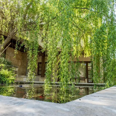 Secret Forest - Wellness Retreat & Healing Spa (Adults Only)-2