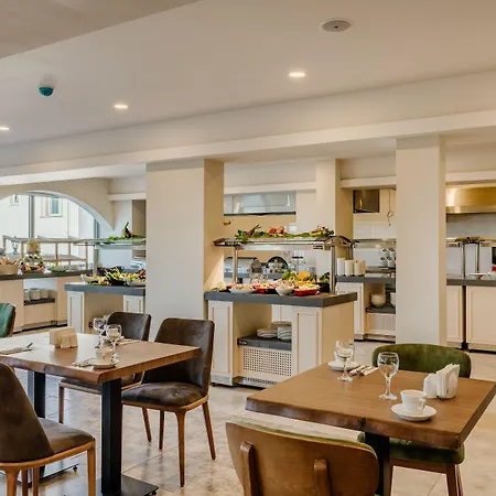 Olivia Palm Hotel-2