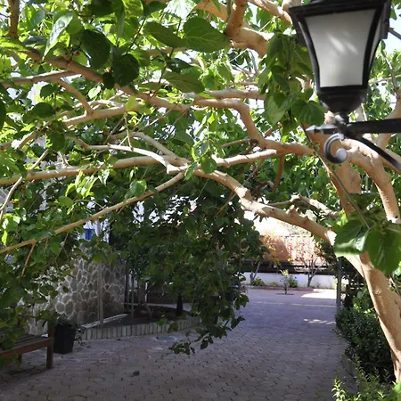 Sunside Inn Hotel-2