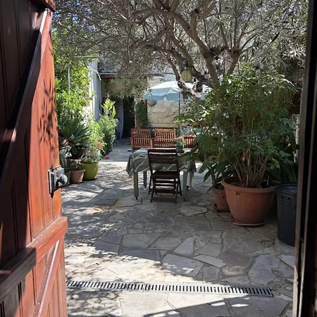 Avli-The Courtyard-3