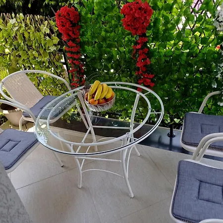 Nikola'S House-2