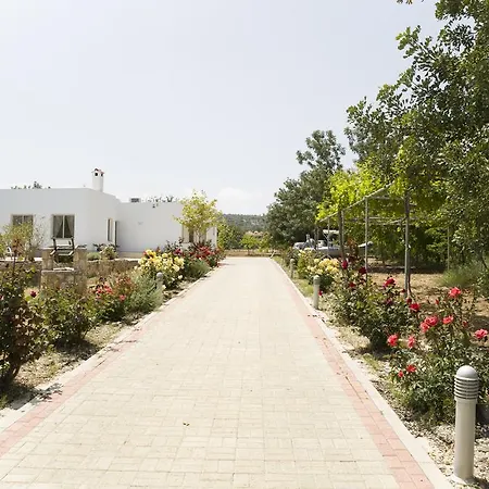 Eliofos Luxury Villa-3