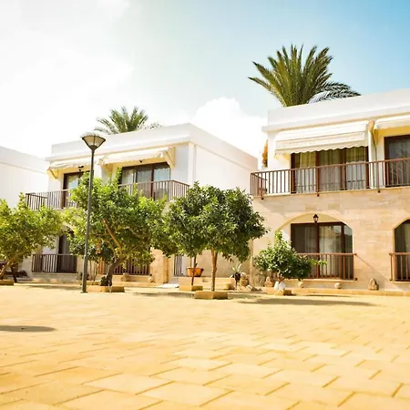 Golden Palms Guest House & Cafe-3