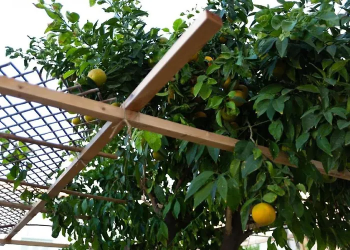 Laila'S Cozy Garden House & Studio Larnaca acceptant les animaux