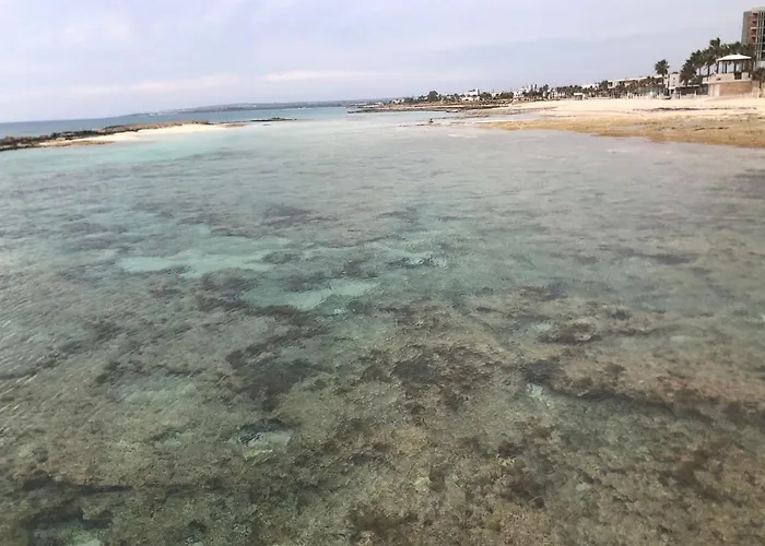 Huisdiervriedelijke Central Modern Newly Furnished Apartment Agia Napa