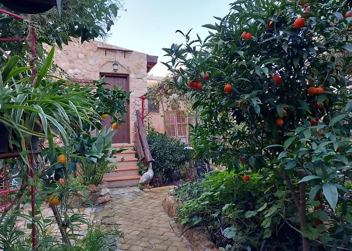 Mystery Garden Guest House Famagusta 
