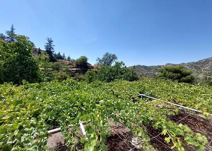 Agros Green Valley Suites Limisso