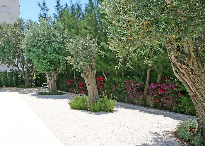 Corina Suites & Apartments Limisso che accetta animali