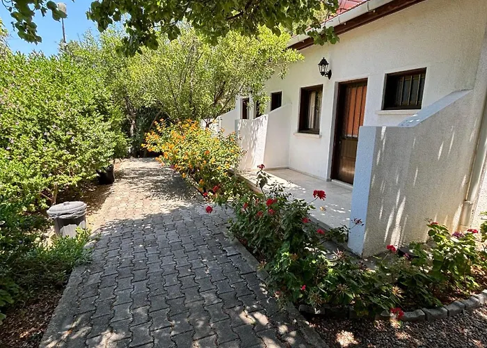 Pet friendly Bare Hill Holiday Apartments Krini