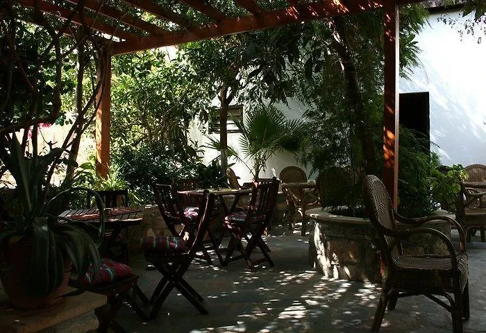 The Bunch Of Grapes Inn Pissouri
