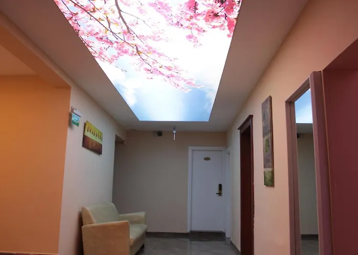 Pet friendly Life Hotel Kyrenia 